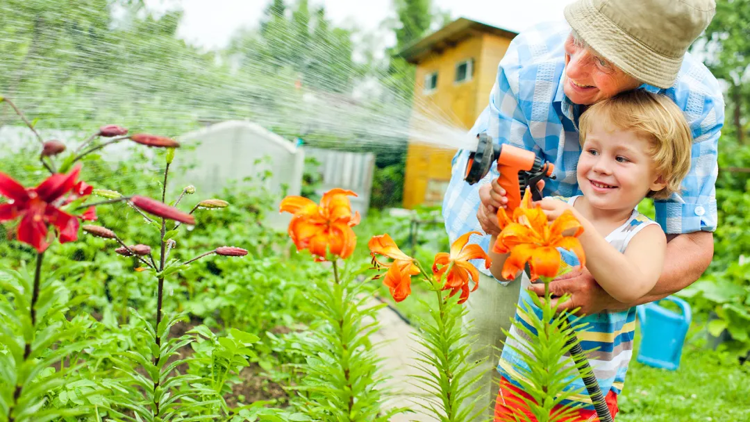 A Grandfather and Grandson Water the Garden Together on a Hot Summer Day