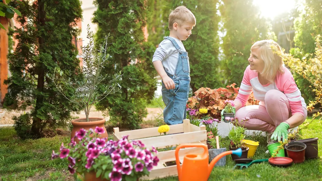 Grandmother and grandson gardening in a backyard.