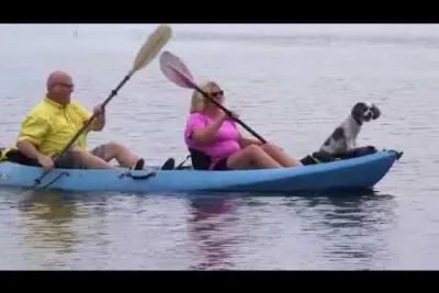 FHNP Dr. Al Causey Patient Testimonial