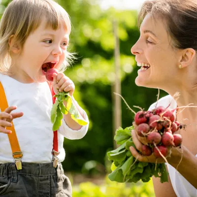 A happy child eats a raddish as a snack in the garden.