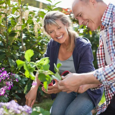 A couple arranges plants in their garden together.