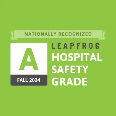 Leapfrog Fall 2024 logo