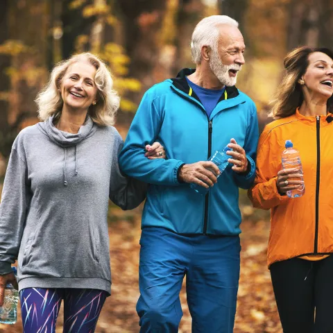 Two Senior Couples Walk Arm-In-Arm Through the Woods.