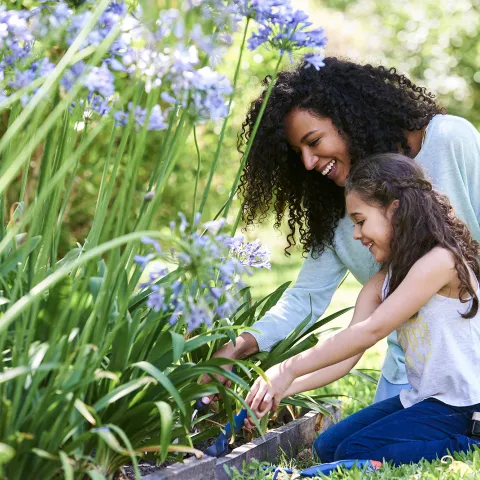 A girl and her mother planting flowers.