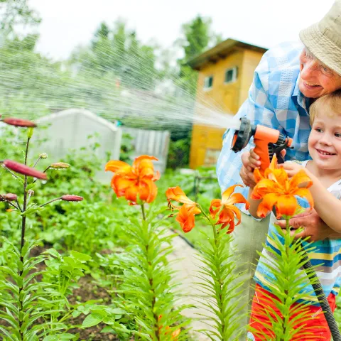 A Grandfather and Grandson Water the Garden Together on a Hot Summer Day