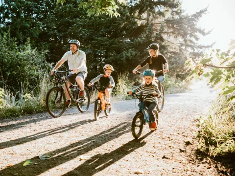 A Family Goes for a Bicycle Ride Through a Park on a Sunny Morning