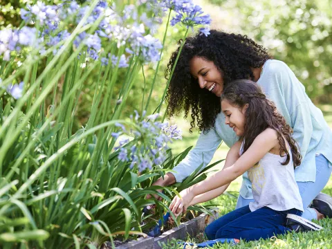 A girl and her mother planting flowers.
