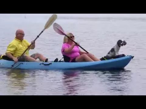 FHNP Dr. Al Causey Patient Testimonial